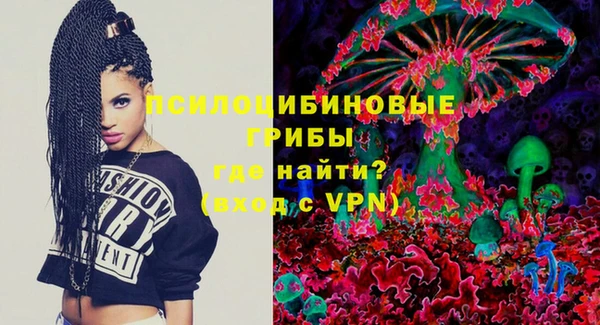 прущие грибы Белоозёрский