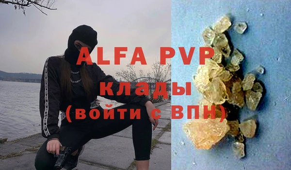 прущие грибы Белоозёрский