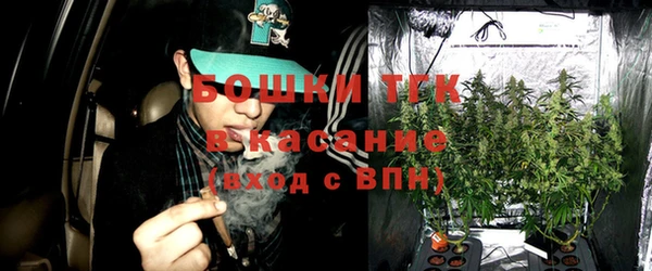 прущие грибы Белоозёрский