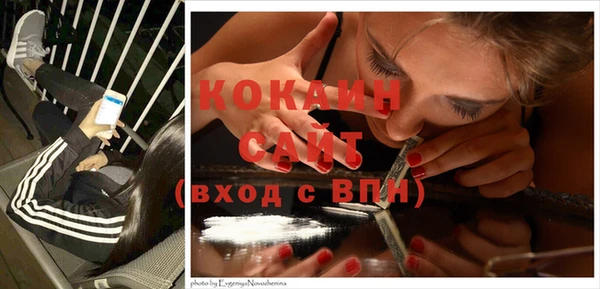 дмт Белокуриха