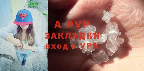прущие грибы Белоозёрский